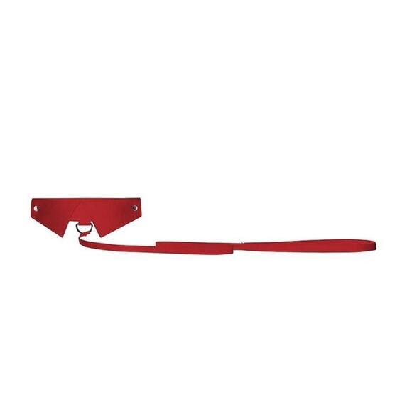 🦋B2G1🦋OUCH! SHOTS AMERICA Classic Leather Collar With Leash-Red | ONE SIZE | - Picture 4 of 5
